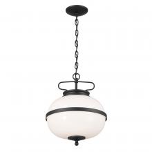 Kichler 52478BKT - Dame 12" 2 Light Pendant Textured Black
