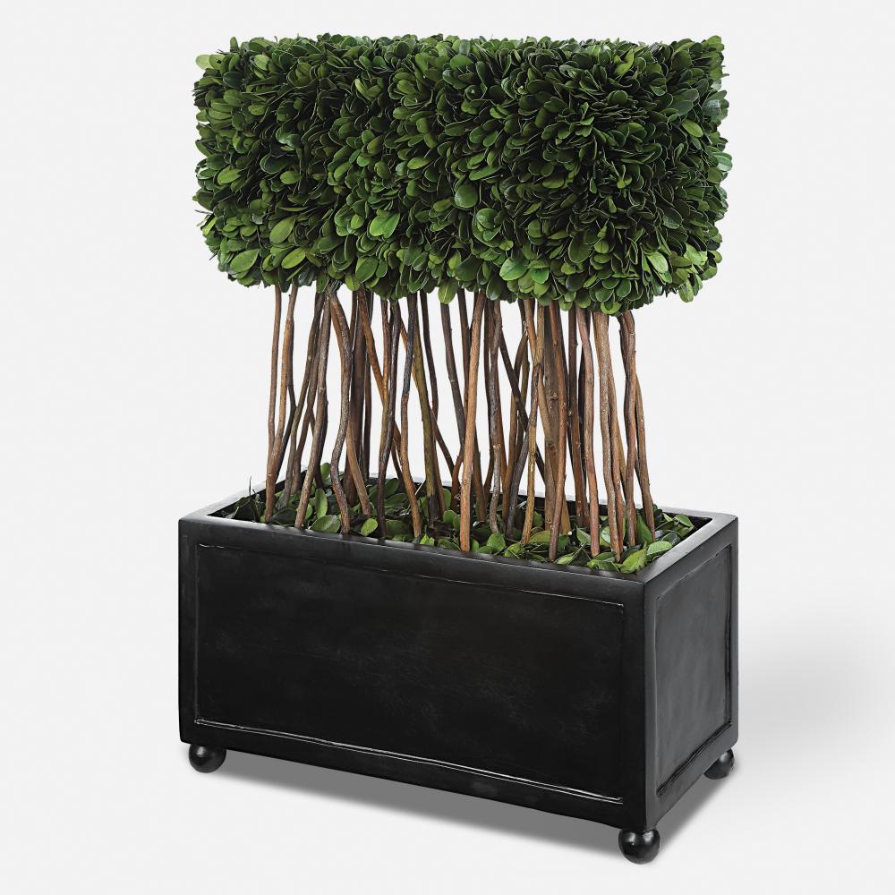 Uttermost Preserved Boxwood Rectangular Topiary