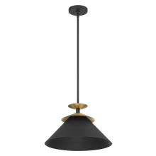 Thesis 207318A - 1L Pendant Light