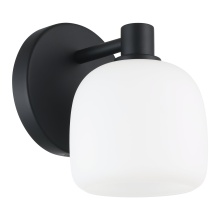 Thesis 206997A - 1L Vanity Light