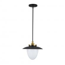 Artcraft AC11905BB - Pendant