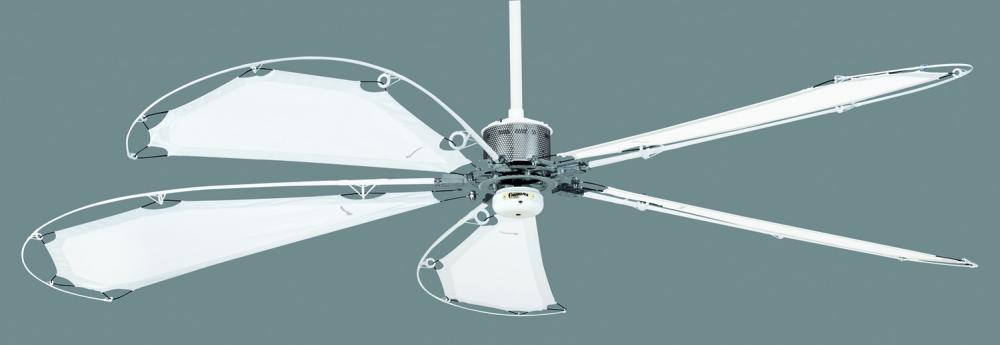 White Ceiling Fan