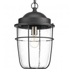 Progress P550025-031 - Holcombe Collection Hanging Lantern