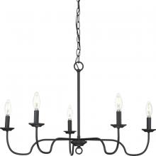 Progress P400291-31M - Canebrake Collection Five-Light Matte Black Farmhouse Chandelier Light