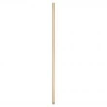 Cyan Designs 11971 - "36"" Downrod | Aged Brass"