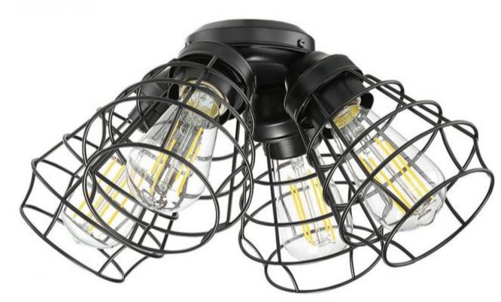 4 Light Cage Light Kit in Flat Black