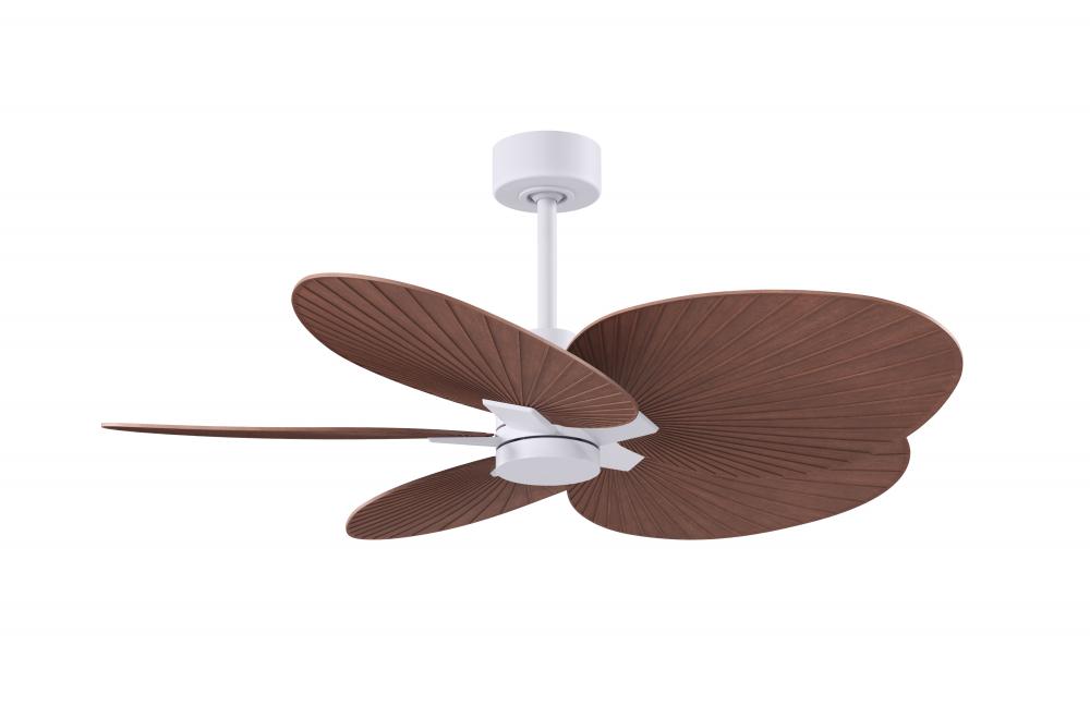 Alessandra Tropical 5-blade ceiling fan in Matte White and Walnut Tone blades.