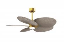 Matthews Fan Company AKTPLK-BRBR-GA - Alessandra Tropical 5-blade ceiling fan in Brushed Brass and Gray Ash Tone blades.