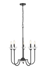 Z-Lite 352-5MB - 5 Light Chandelier