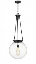 Innovations Lighting 221-1P-BK-G202-16 - Beacon - 1 Light - 16 inch - Matte Black - Chain Hung - Pendant