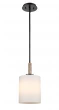 Innovations Lighting 442-1S-BK-W - Paladin - 1 Light - 7 inch - Matte Black - stem hung - Mini Pendant