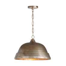 Capital 330311XN - 1 Light Pendant