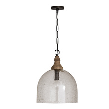 Capital 336011YP-484 - 1 Light Pendant