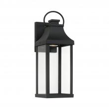 Capital 946411BK-GL - 1 Light Outdoor Wall Lantern