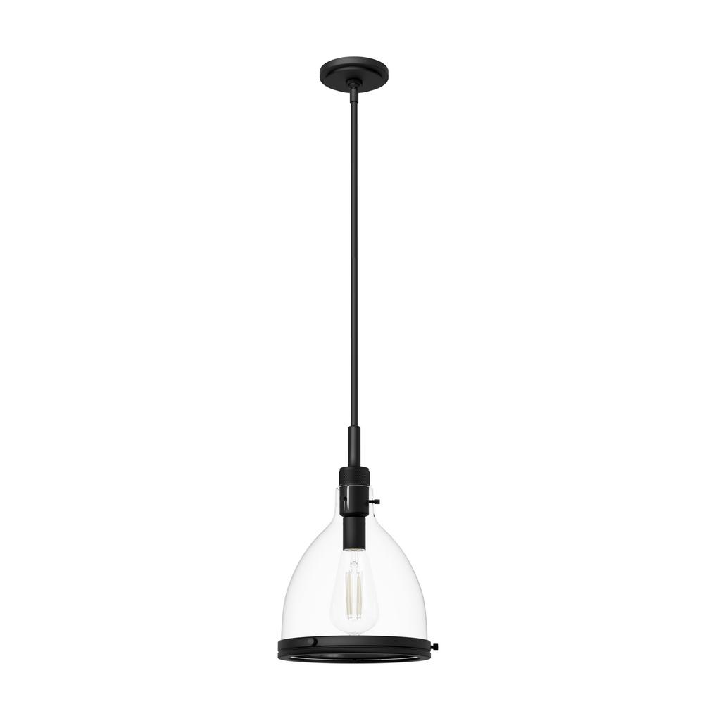 Hunter Van Nuys Matte Black with Clear Glass 1 Light Pendant Ceiling Light Fixture