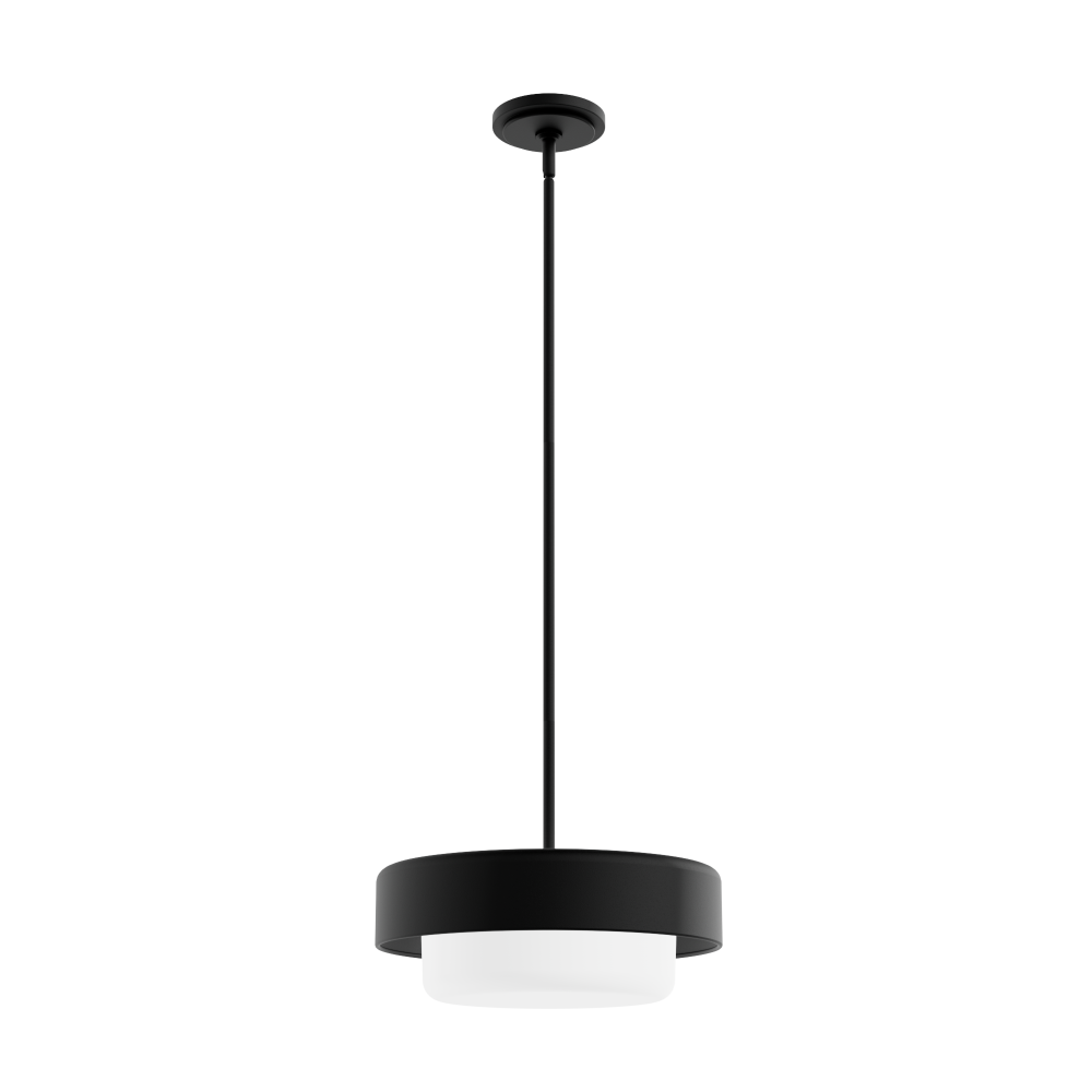 Hunter Station Natural Black Iron with Frosted Cased White Glass 2 Light Pendant Ceiling Light