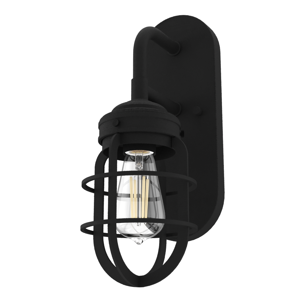 Hunter Starklake Natural Black Iron 1 Light Medium Sconce Wall Light Fixture