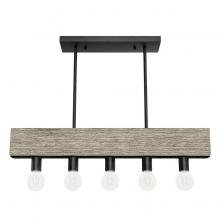 Hunter 13054 - Hunter Donelson Rustic Iron and Barnwood 5 Light Small Chandelier Ceiling Light Fixture