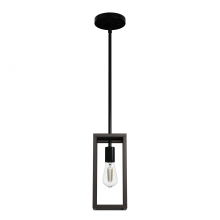 Hunter 19769 - Hunter Squire Manor Matte Black and Dark Ash 1 Light Small Pendant Ceiling Light Fixture