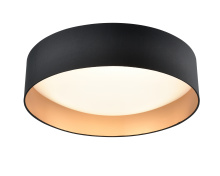 Millennium 4031-BG - Rosata 20" Wide LED Flushmount Light - Black