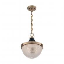 Nuvo 60/7060 - Faro - 1 Light Pendant with Clear Prismatic Glass - Burnished Brass and Black Accents Finish